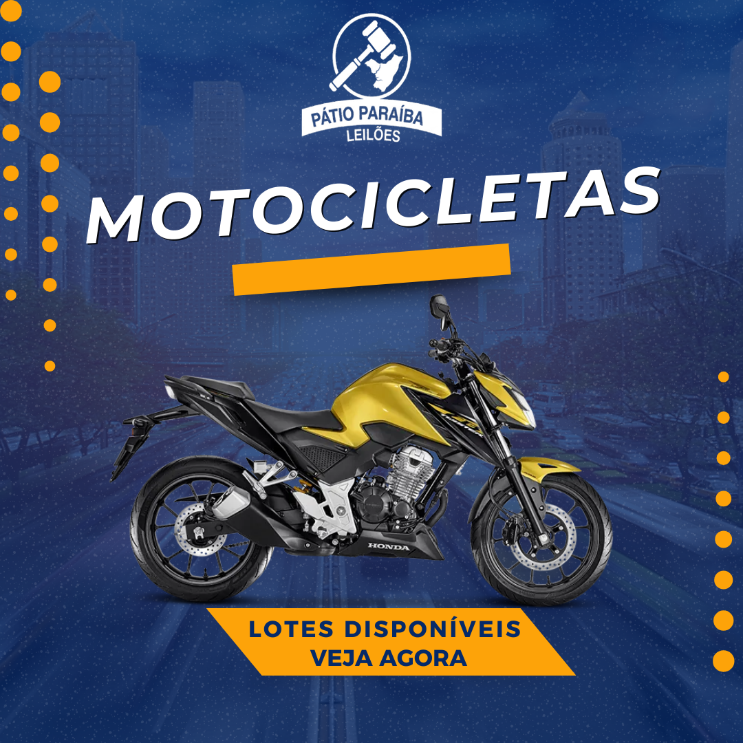 LOTES DE MOTOS