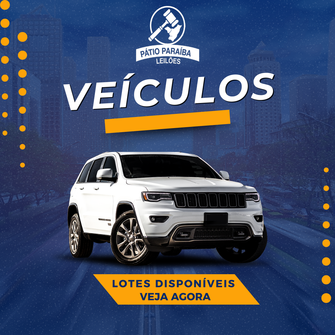 LOTES DE VEÍCULOS